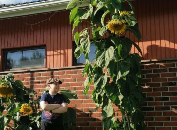 Dags att samla in resultaten i årets 4H Solrostävling featured image